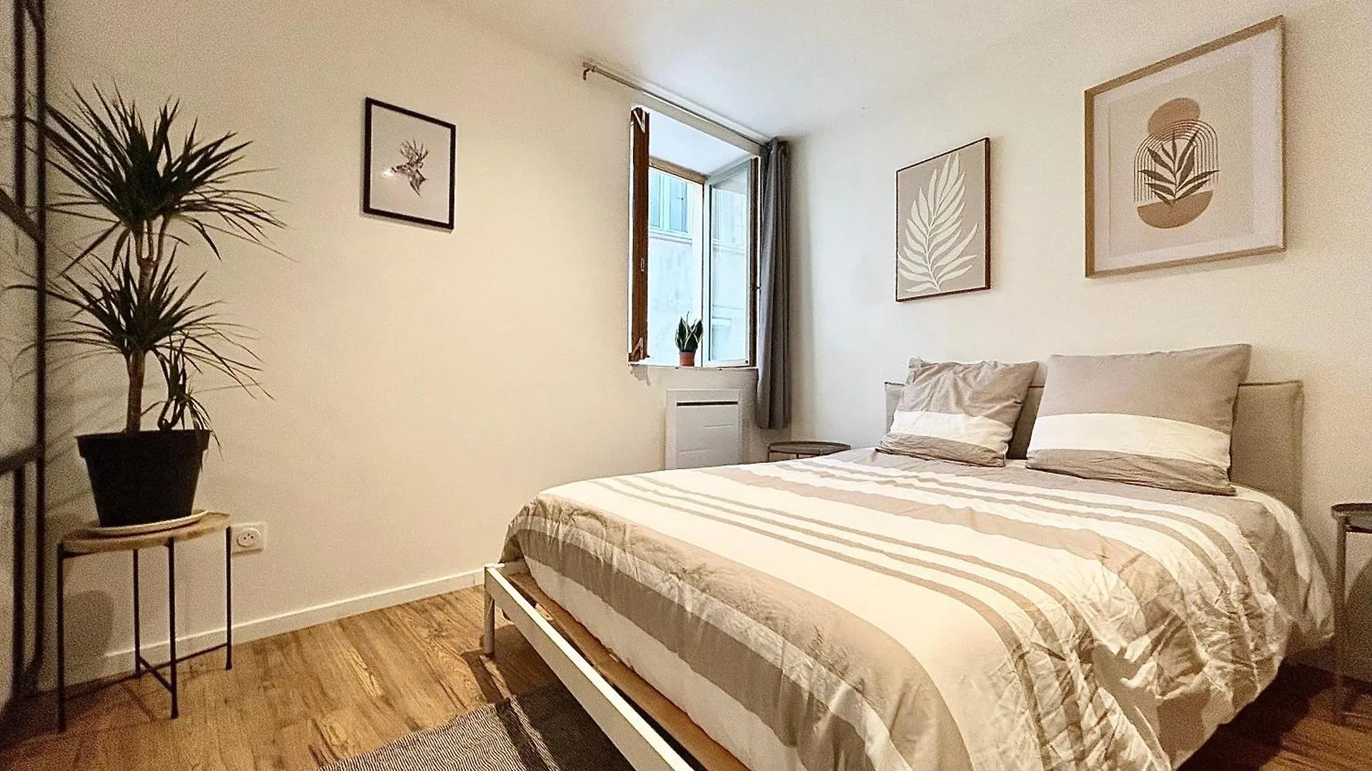 דירות קסטרה Loft Occitane Hyper Centre Castres צרפת